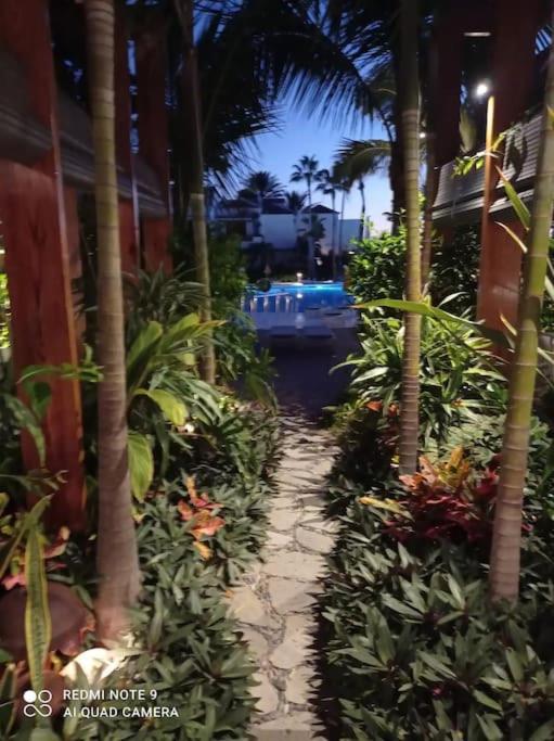 Apartamento Exterior Con Vistas Playa de las Americas  Esterno foto
