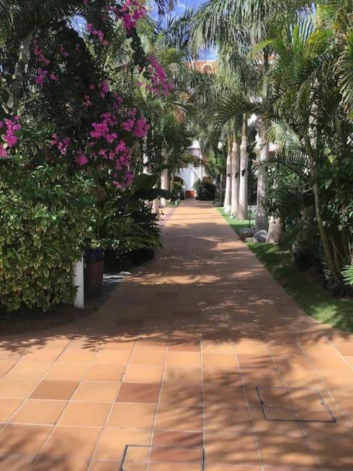 Apartamento Exterior Con Vistas Playa de las Americas  Esterno foto